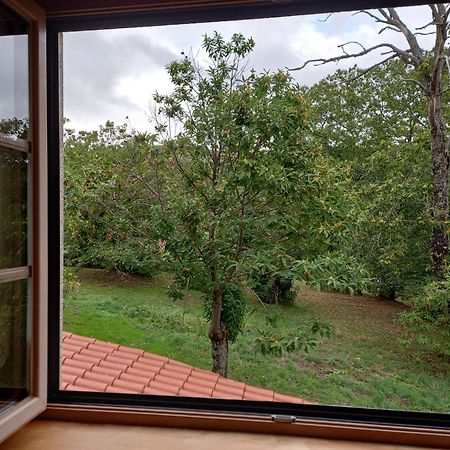 O Bilho Bed & Breakfast วินญายช์ ภายนอก รูปภาพ